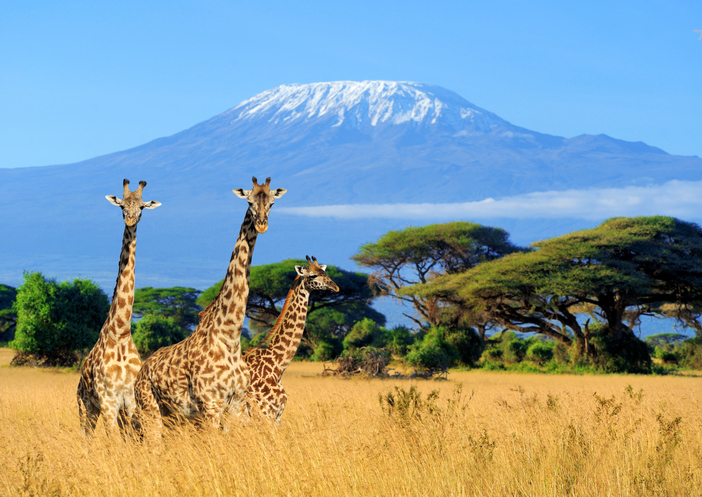 Mount Kilimanjaro